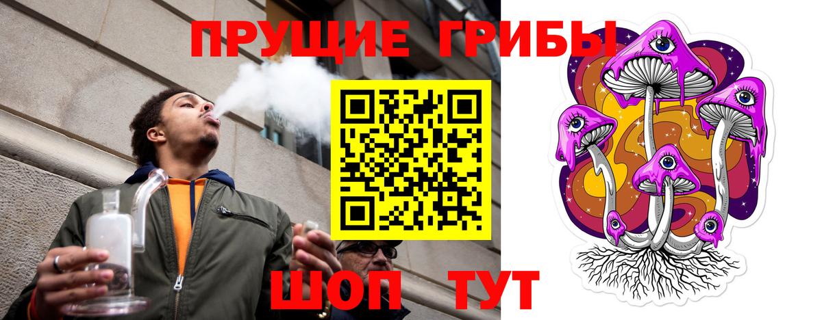 Галлюциногенные грибы GOLDEN TEACHER Кашира